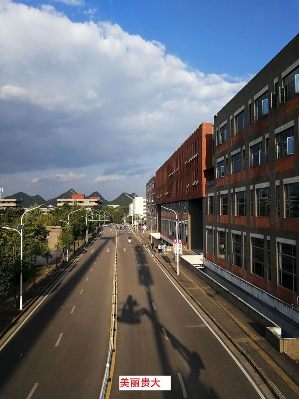 貴州某高校為本校區(qū)內(nèi)600多盞路燈更換LED燈頭及加裝太陽(yáng)能LORA調(diào)光控制模塊，達(dá)到了節(jié)能和智能控制的目的。